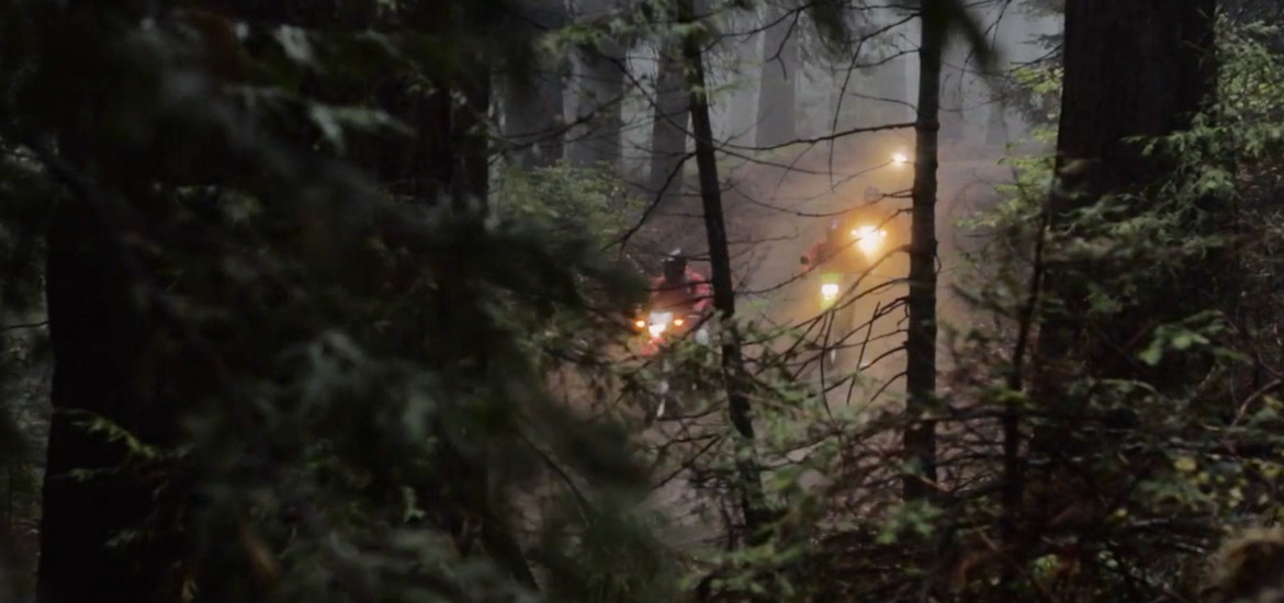 Wilderness-Collective-Sequoia-Film-Still