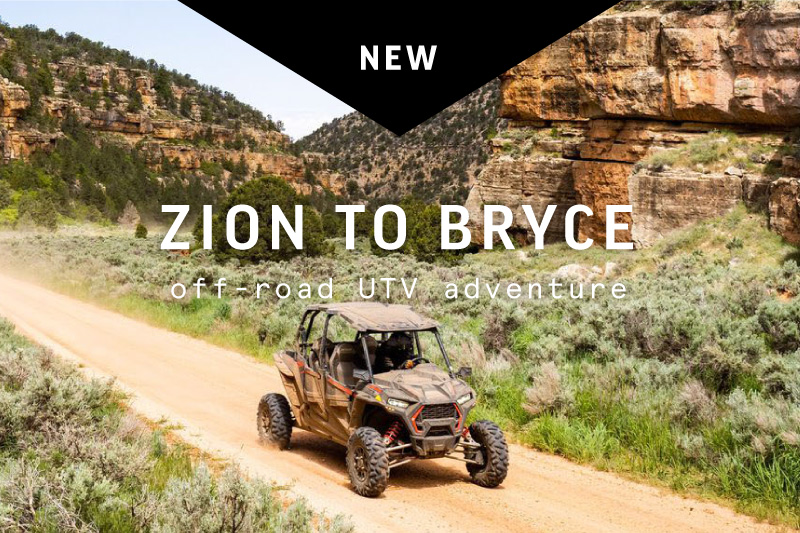 Zion to Bryce Backroads UTV Wilderness CollectiveWilderness Collective